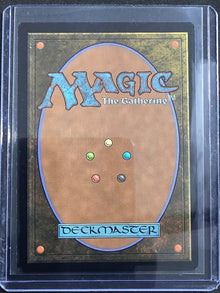 Radagast of Rhosgobel HOB-0136 The Hobbit Showcase Foil back