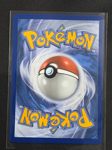 Chespin AR Art Rare 058 Promo First Partner Illustration Collection Vol 3 back