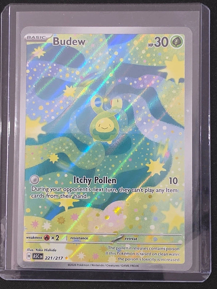 Budew - Illustration Rare - Ascended Heroes 221/217 - NM - Pokemon Card image 1